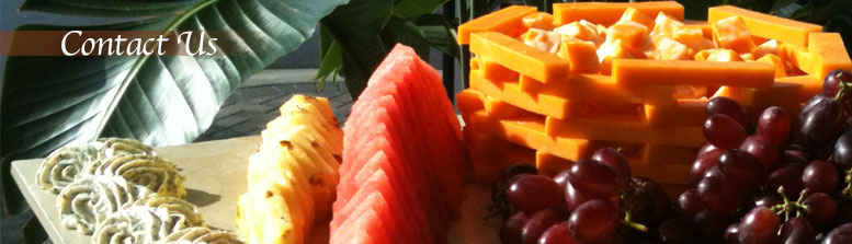 Contact Serve All Orlando Catering